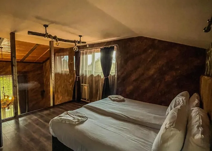 ホテル Complex Katalina 3*